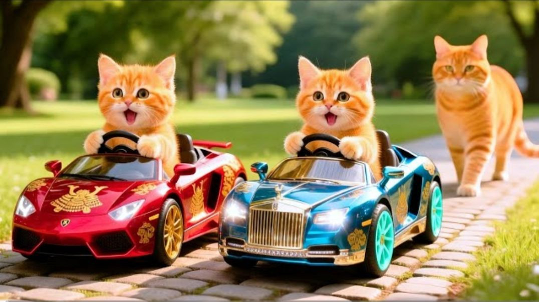 ⁣#cryingcat #貓咪 #貓貓日 Mama Cat Trims Fur on the Farm and Makes Tiger Hat For Kittens At Home🐾🎩🐯