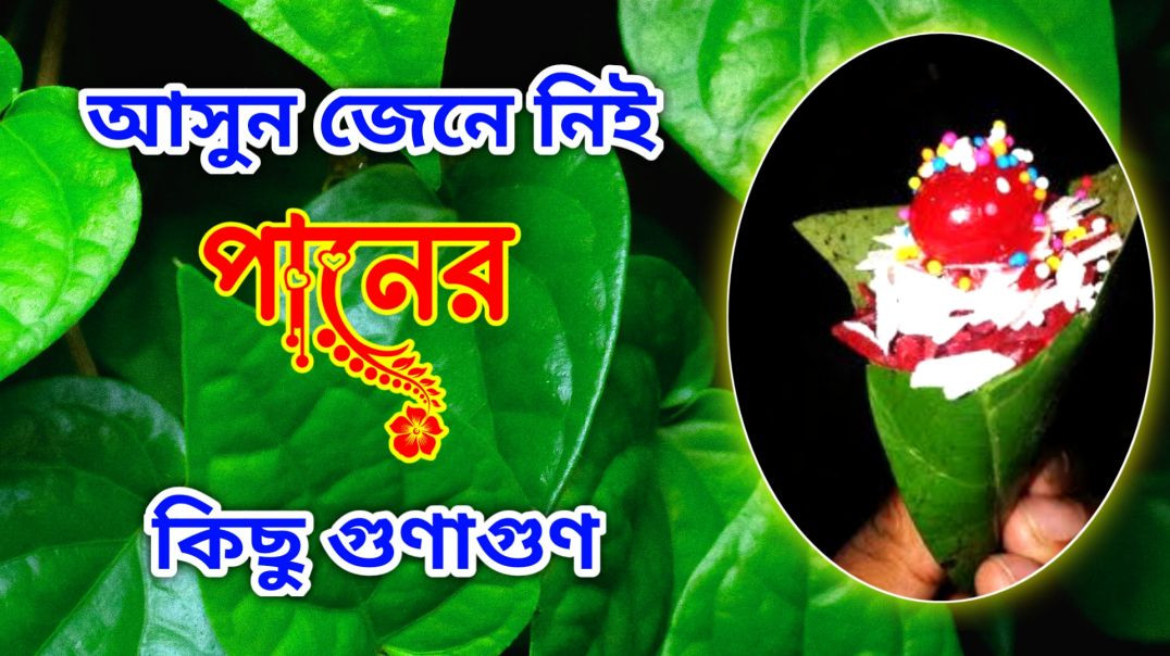 ⁣খাবার পর পান খাওয়ার উপকারিতা কি ? || Paan