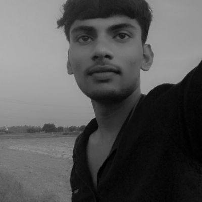 115673288533012330405