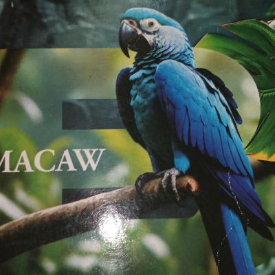 102383007131662065028 