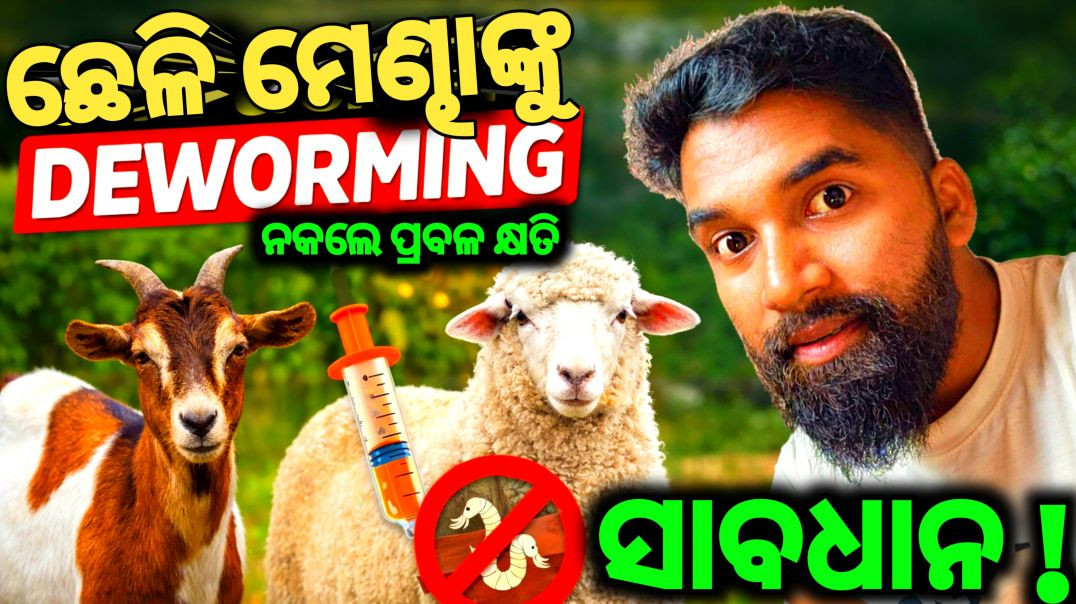 ⁣Dewarming କ'ଣ//Perper tips