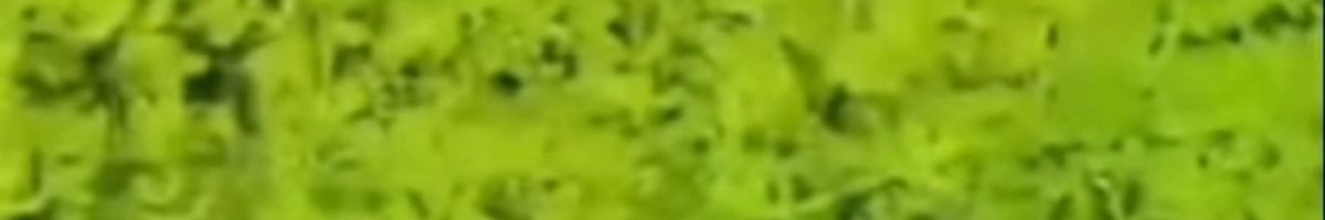 117064652309894971304 