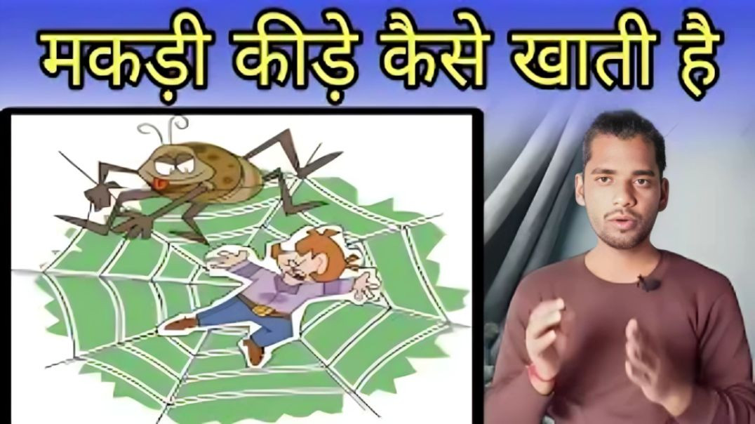 ⁣मकड़ी पेट कैसे भरती है | Makdi | Spider | Food | AC Prashant