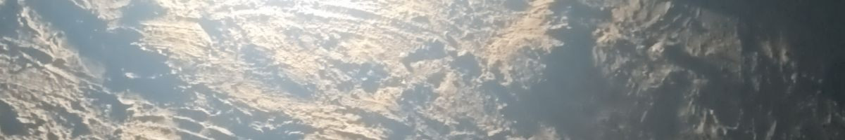 109862971381456103610 