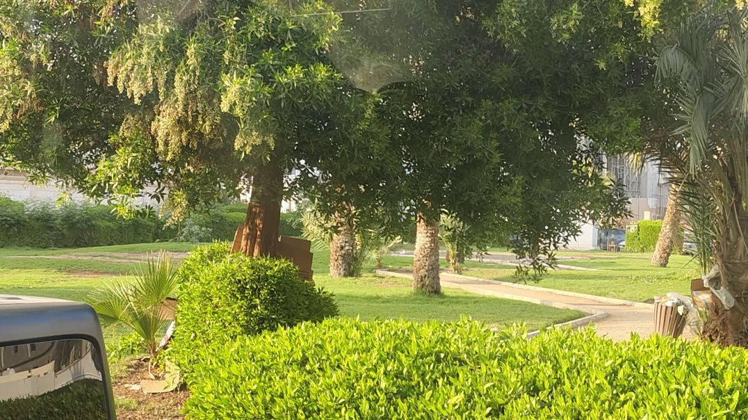 video_20260107_164947