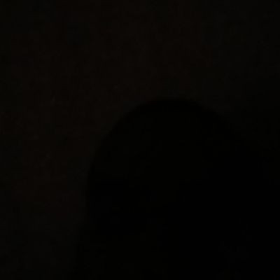 102844245489030381425 