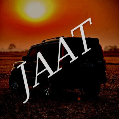 101931702241076836079 