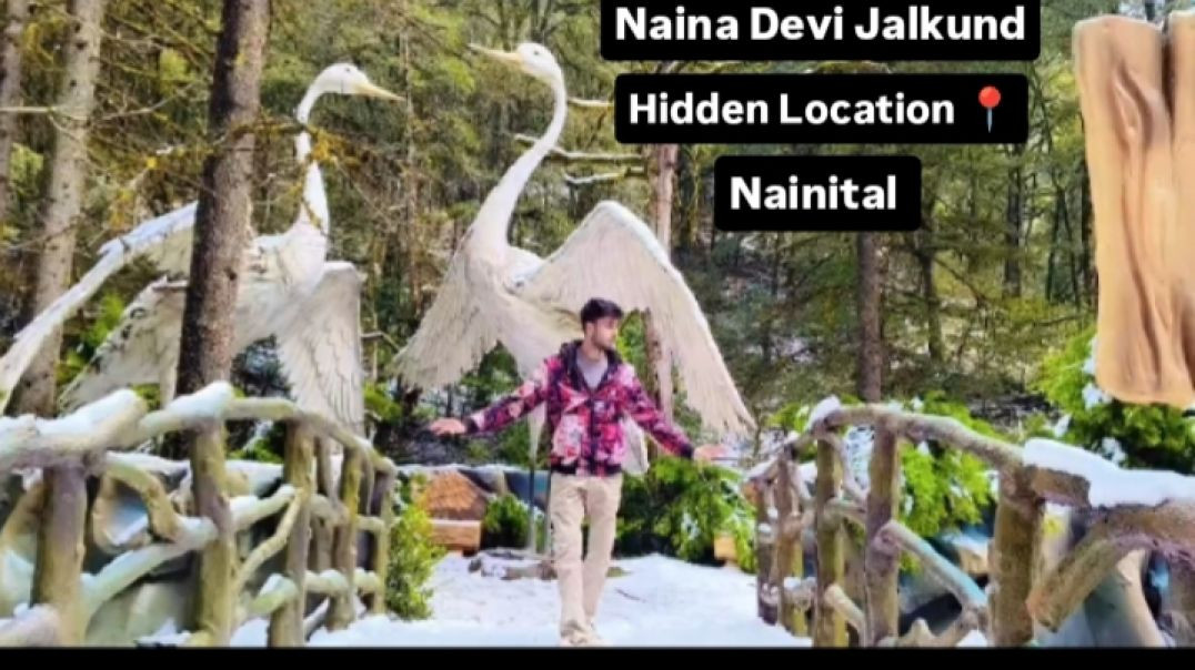 ⁣Hidden Location 📍 in Nainital Uttarakhand snow fall Live video