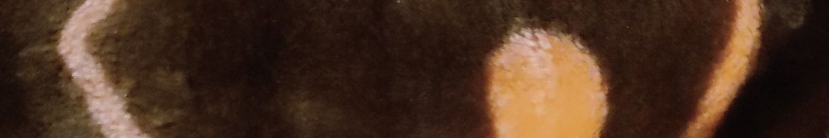 117854798946487947023 