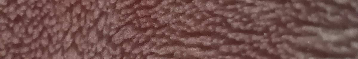 117867431958062803114 