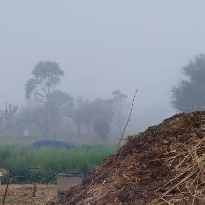 112710834969718009100 