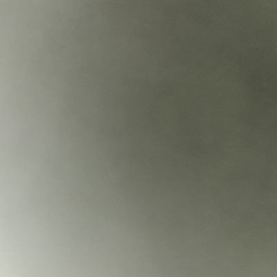 116640850650647793936