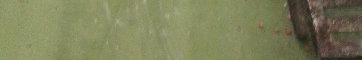 d216cf489