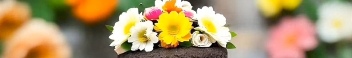 Mrjaydip__YT Mrjaydip__YT