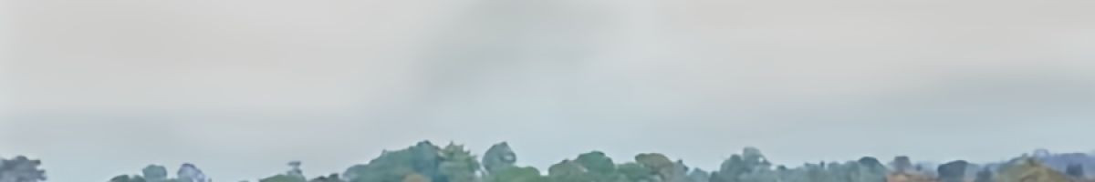 104467935014435346686 