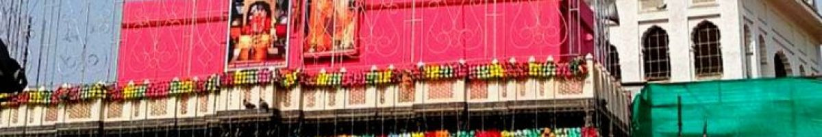 116590464486759647695 