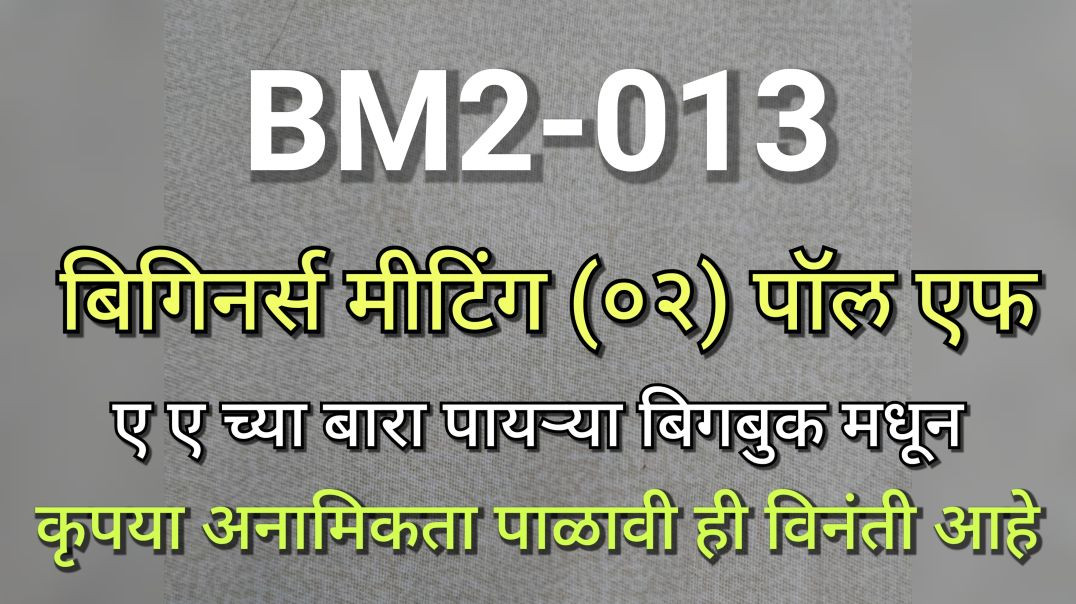 ⁣BM2-013 पॉल एफ बिगीनर्स मीटिंग 2 भाग क्र - ०१३ BM2013 AA BigBook