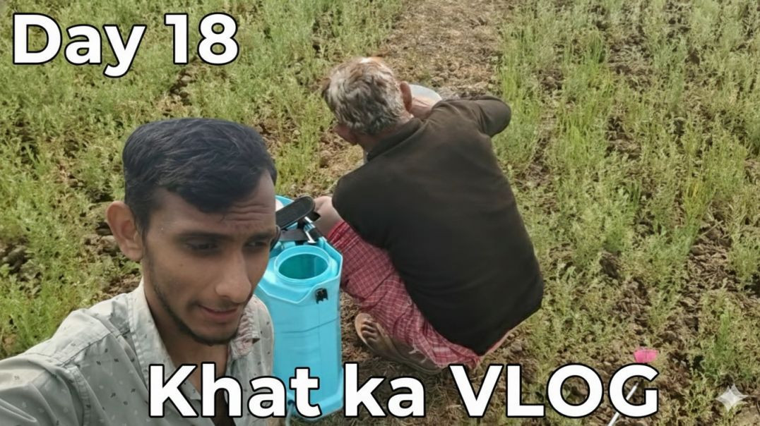 ⁣Aaj Khet Me Dawai Chhidakne Gaye | Farming Vlog Day 18 | Real Village Life 🌾