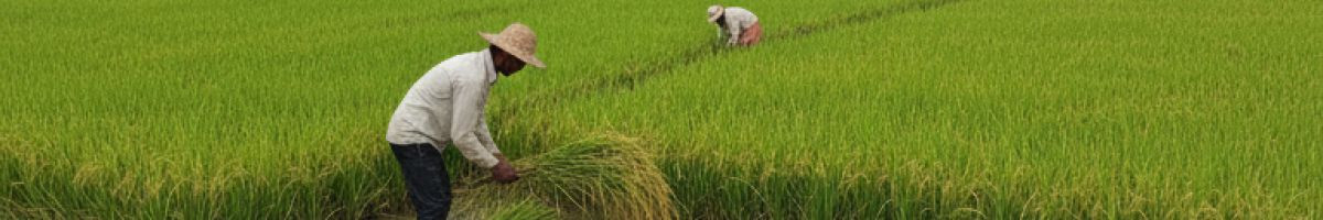 116221964276096157358 