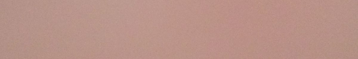 सालासरधाम 