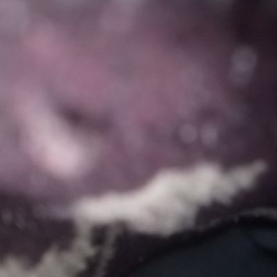 113482319162218308074