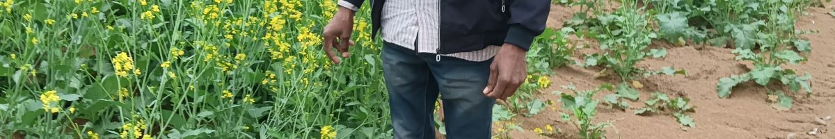 DhaneshDhanesh