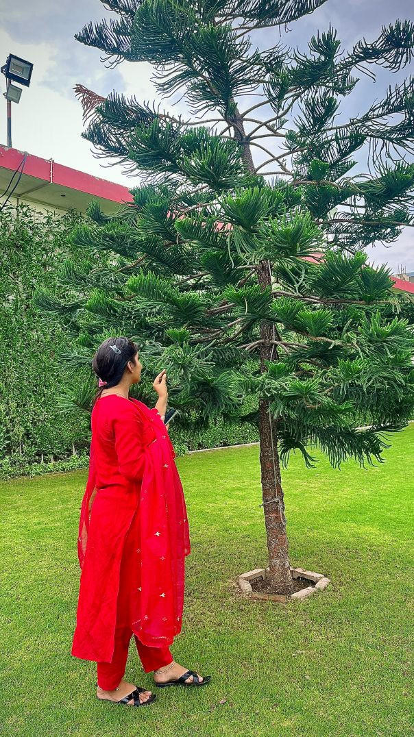 VID_20260122_064111_433