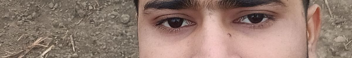 101846091177398884329 