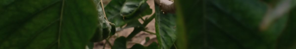 104027945675692224126 