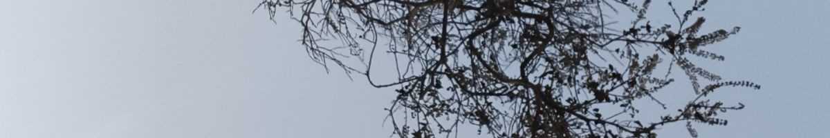 nalu_wala_1234 nalu_wala_1234