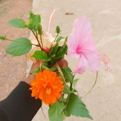 Lyrics_loving_4u Lyrics_loving_4u