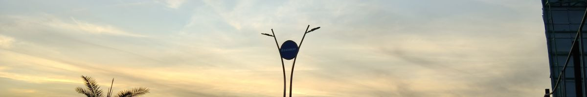 102454400306335443119 