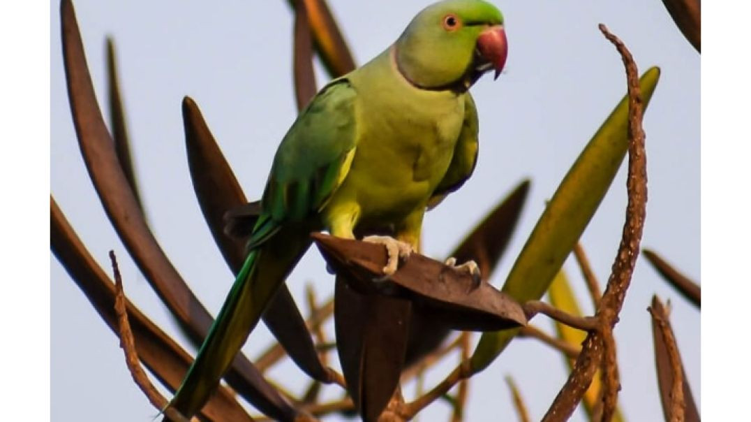 ⁣VID_20251231_015008_610