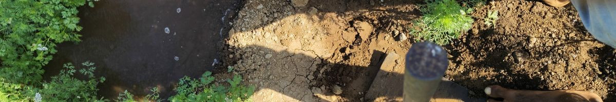 115687054270526275640 