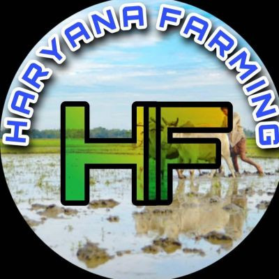 HARYANA FARMING