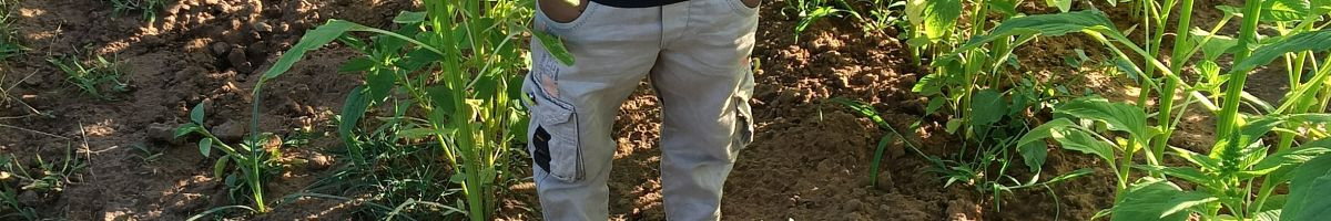 110616755737860618970 