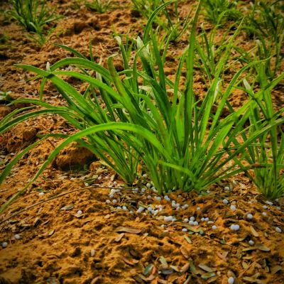 104876839146365330672