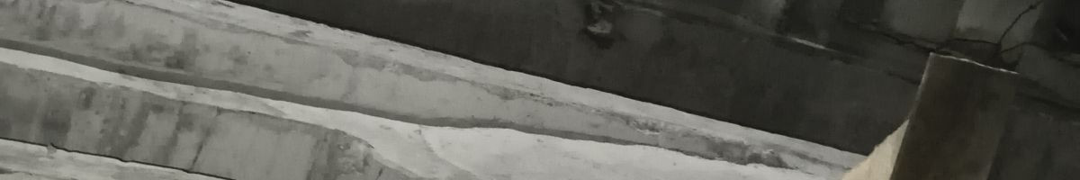 116214499174224757347 