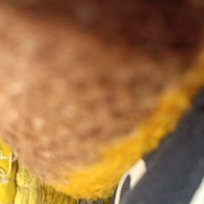 111584374391561971272 