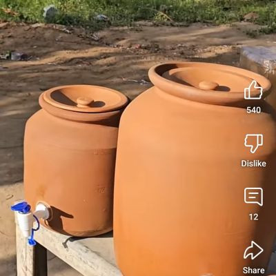 113739632658270559297 