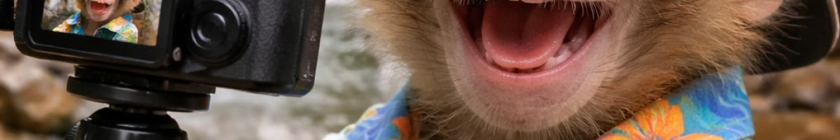 p_k_vlogger p_k_vlogger