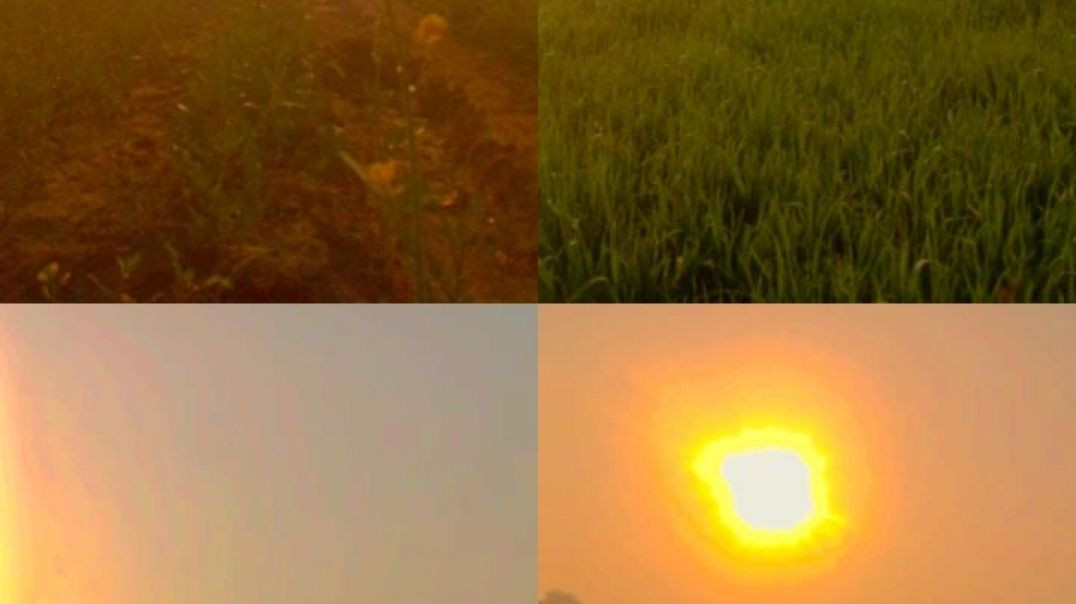 #video___Sanjay_Yaduvanshi____कबूतर_से_बाज_के_शिकार_ना_होये____Shilpi_Raj___Sanjay_Sultanpuriya(240p