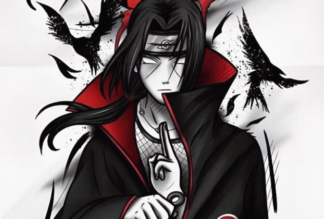 118161523443922653043 