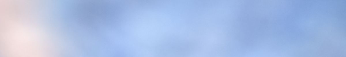 111825695238423403976 