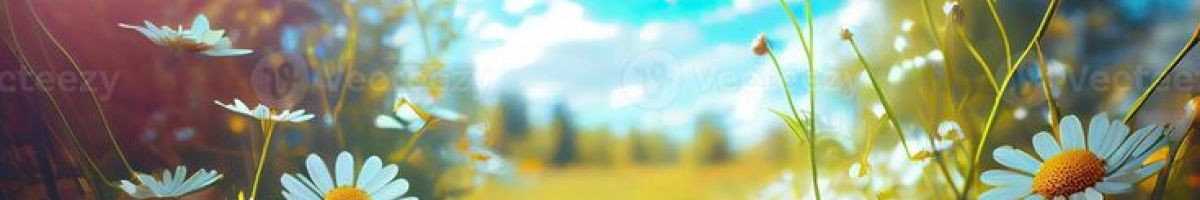 102423316311326468519 