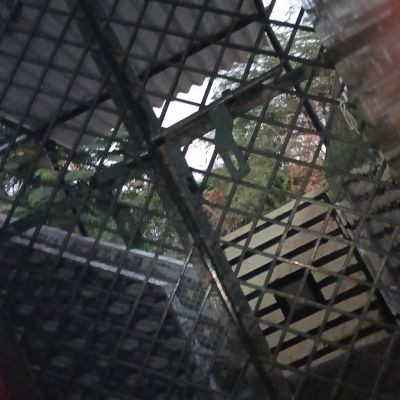 110507979285566761322 