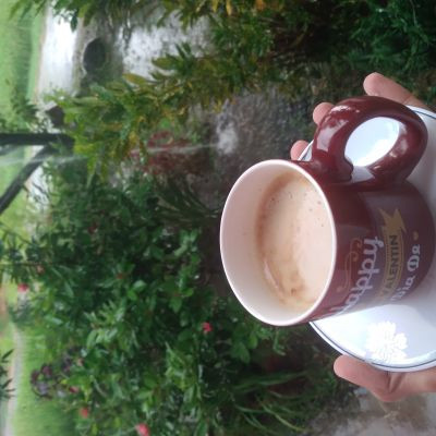 naresh.p.aryal naresh.p.aryal