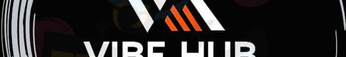 vibehub 