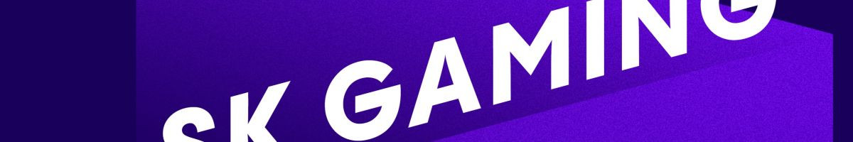 SK GAMING