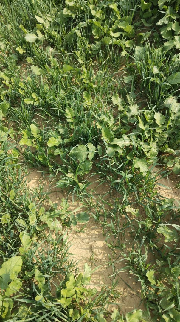 🙏🌿खेती बाड़ी